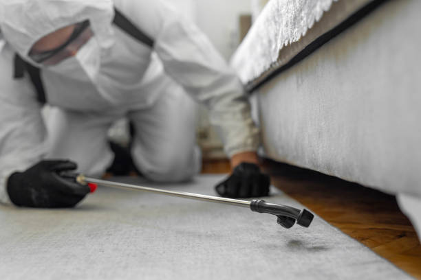 Professional Cockroach Control technician working in Chagrin Falls, OH